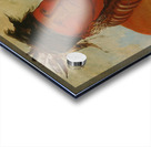 Háw-Che-Ke-Súg-Ga He Who Kills The Osages Chief of The Tribe 1832 Acrylic print