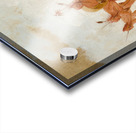 Discovery Dance Sac And Fox 1835-1837 Acrylic print