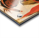 Ke-Chím-Qua Big Bear 1830 Acrylic print