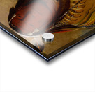 Pa-Ris-Ka-Roó-Pa Two Crows a Chief 1832 Acrylic print