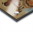 Pash-Ee-Pa-Hó Little Stabbing Chief a Venerable Sauk Chief 1835 Acrylic print