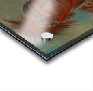 Neu-Mon-Ya Walking Rain War Chief 1844-1845 Acrylic print