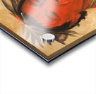 O-Ho-Páh-Sha Small Whoop a Distinguished Warrior 1831 Acrylic print