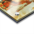 La-Wée-Re-Coo-Re-Shaw-Wee War Chief a Republican Pawnee 1832 Acrylic print