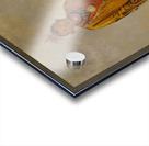 Me-Sóu-Wahk Deer’s Hair Favorite Son of Kee-O-Kúk 1835 Acrylic print