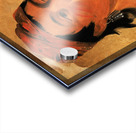 Round Island a Warrior 1831 Acrylic print