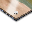 Medicine Buffalo of The Sioux 1837-1839 Acrylic print