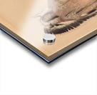 Mah-To-Toh-Pa The Mandan Chief Acrylic print