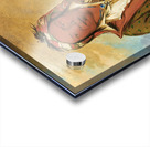 Shee-Náh-Wee 1830 Acrylic print