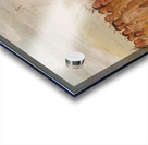 Self-Torture In a Sioux Religious Ceremony 1835-1837 Acrylic print