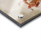 Slave Dance Sac And Fox 1835-1837 Impression Acrylique