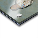 Seet-Sé-Be-A Midday Sun a Pretty Girl 1832 Acrylic print