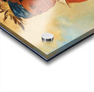 Wah-Pón-Jee-A The Swan a Warrior 1830 Acrylic print