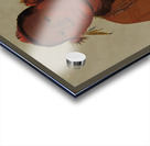 Wa-Sáw-Me-Saw Roaring Thunder Youngest Son of Black Hawk 1832 Acrylic print