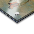 Wa-Quóth-E-Qua The Buck’s Wife Wife of The Whale 1835 Acrylic print