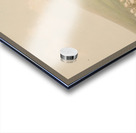 Buffalo Hunt White Wolves Attacking A Buffalo Bull 1844 Acrylic print