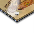 Wán-Ee-Ton Chief of The Tribe 1832 Acrylic print