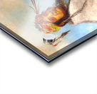 Non-on-dá-gon a Chief 1830 Acrylic print