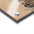 Buffalo Dance Acrylic print