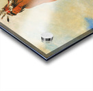 Won-De-Tów-A The Wonder 1835 Acrylic print