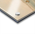 Wild Horses at Play 1844 Acrylic print