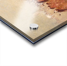 Pipe Dance Assiniboine 1835-1837 Acrylic print