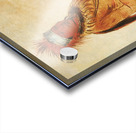 W’y-Ee-Yogh Man of Sense a Brave 1832 Acrylic print