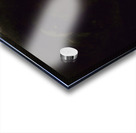 Portraits of a Grizzly Bear and Mouse Life Size 1846-1848 Acrylic print