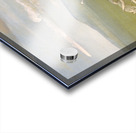 White Wolves Attacking a Buffalo Bull 1832-1833 Acrylic print