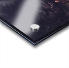 Deer Hunting By Torchlight In Bark Canoes 1846-1848 Acrylic print