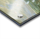 Flamingo Shooting in South America 1856 Acrylic print