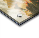 Prairie Bluffs Burning 1832 Acrylic print