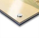 Buffalo Hunt White Wolves Attacking Buffalo Bull 1844  Acrylic print