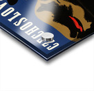 Czechoslovaks Carry On Acrylic print