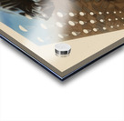 Airborne Forces Acrylic print