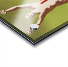 Libres de Temor Acrylic print