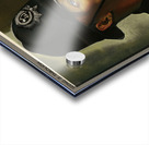 Seeing it Through Acrylic print