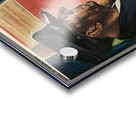 Seeing it Through Acrylic print