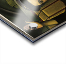 Seeing it Through Acrylic print