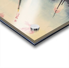 The Merchant Service is Silent Too! Acrylic print