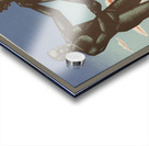 The Merchant Service is Silent Too! Acrylic print