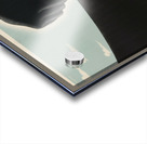 The Merchant Service is Silent Too! Acrylic print