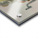 The Effects of Over-Cooking and Keeping Hot  Acrylic print