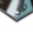 Venereal Diseases – Tomorrow’s Citizen Acrylic print