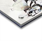 Vintage carriage 1893 by Edward Penfield Acrylic print