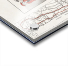 Bicycle road maps 1895 by Edward Penfield Acrylic print