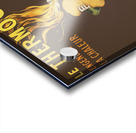 Le Thermogene: Engenore la chaleur et guérit toux rhumatismes points de cote etc. 1909 by Leonetto Cappiello Acrylic print