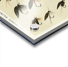 Trout Flies  Acrylic print