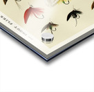 Trout Flies  Acrylic print