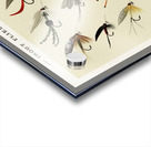 Trout Flies  Acrylic print